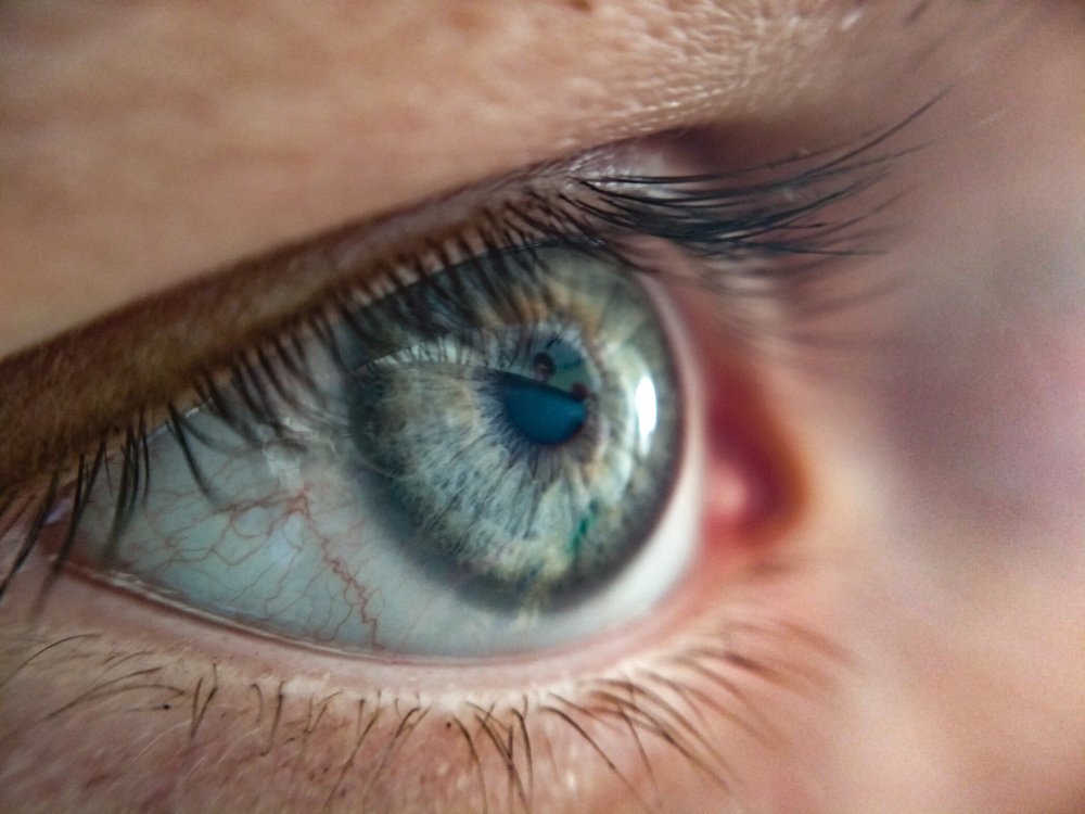 Photograph by Илья Куфко