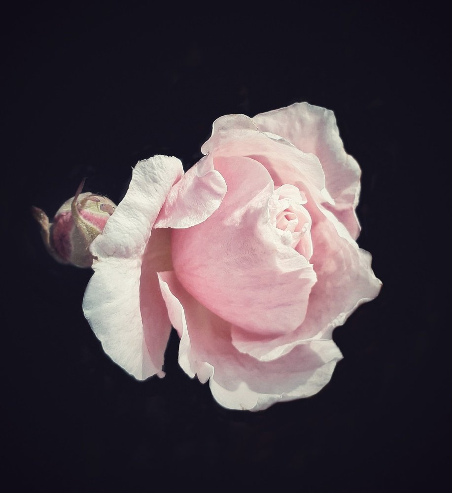 Photo #4087949