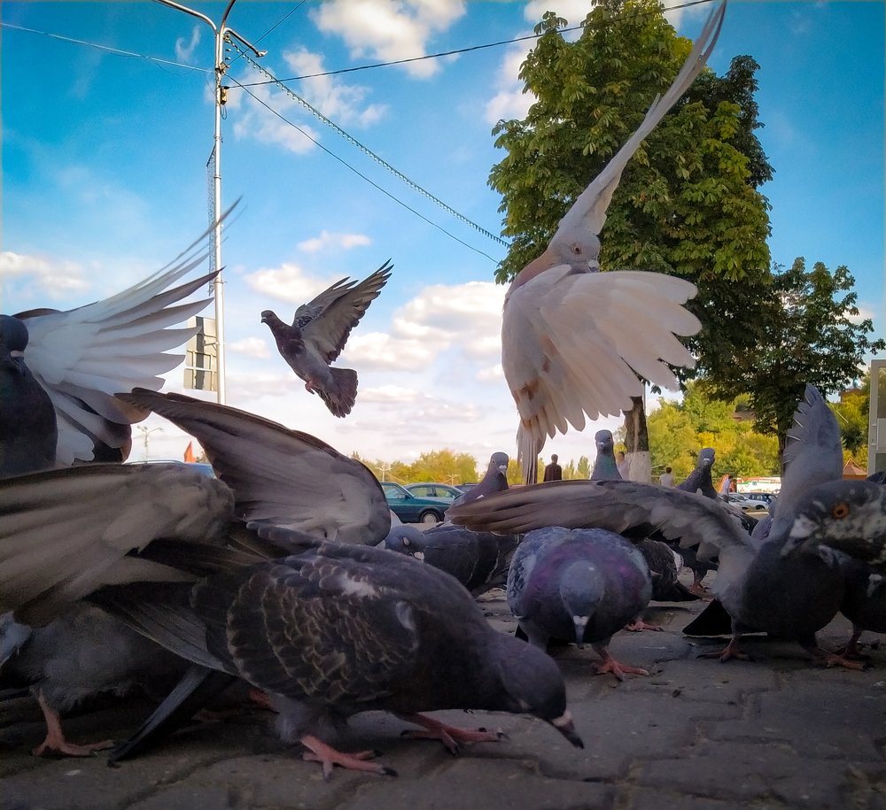 Photograph by Mikalai Stralchuk