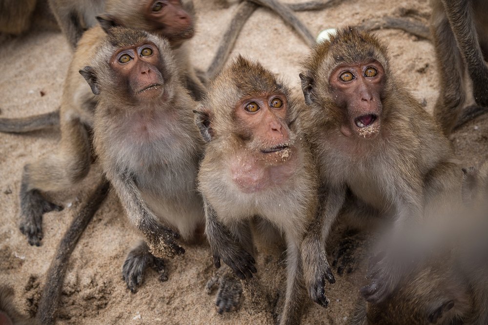 Photograph by Борис Недосеков