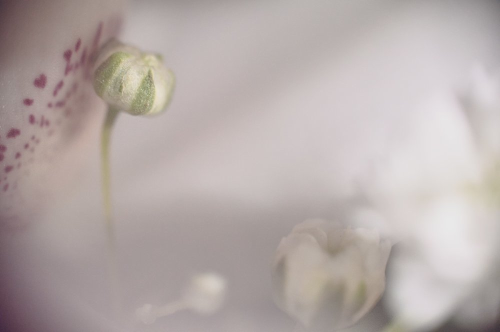 Photograph by Вячеслав Шемошенко