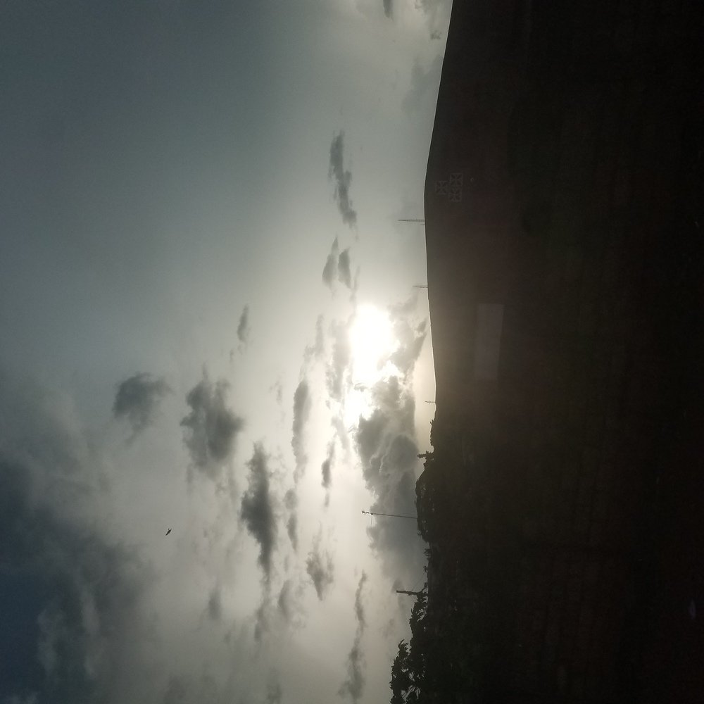 Photo #4088142