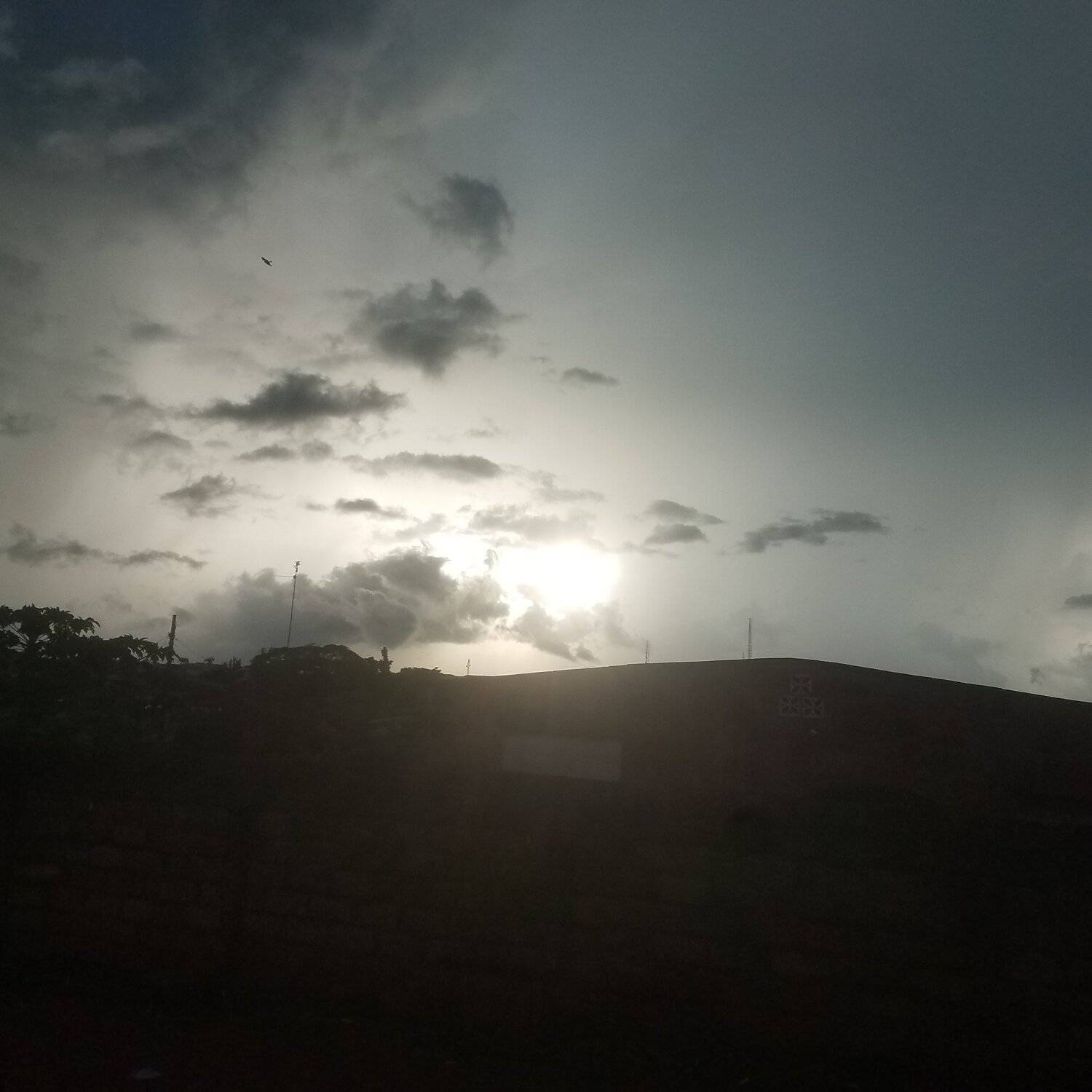 Photo #4088142