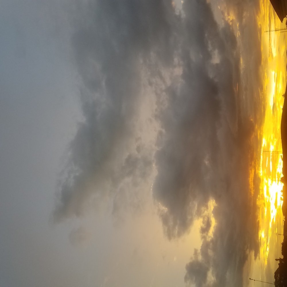 Photo #4088143