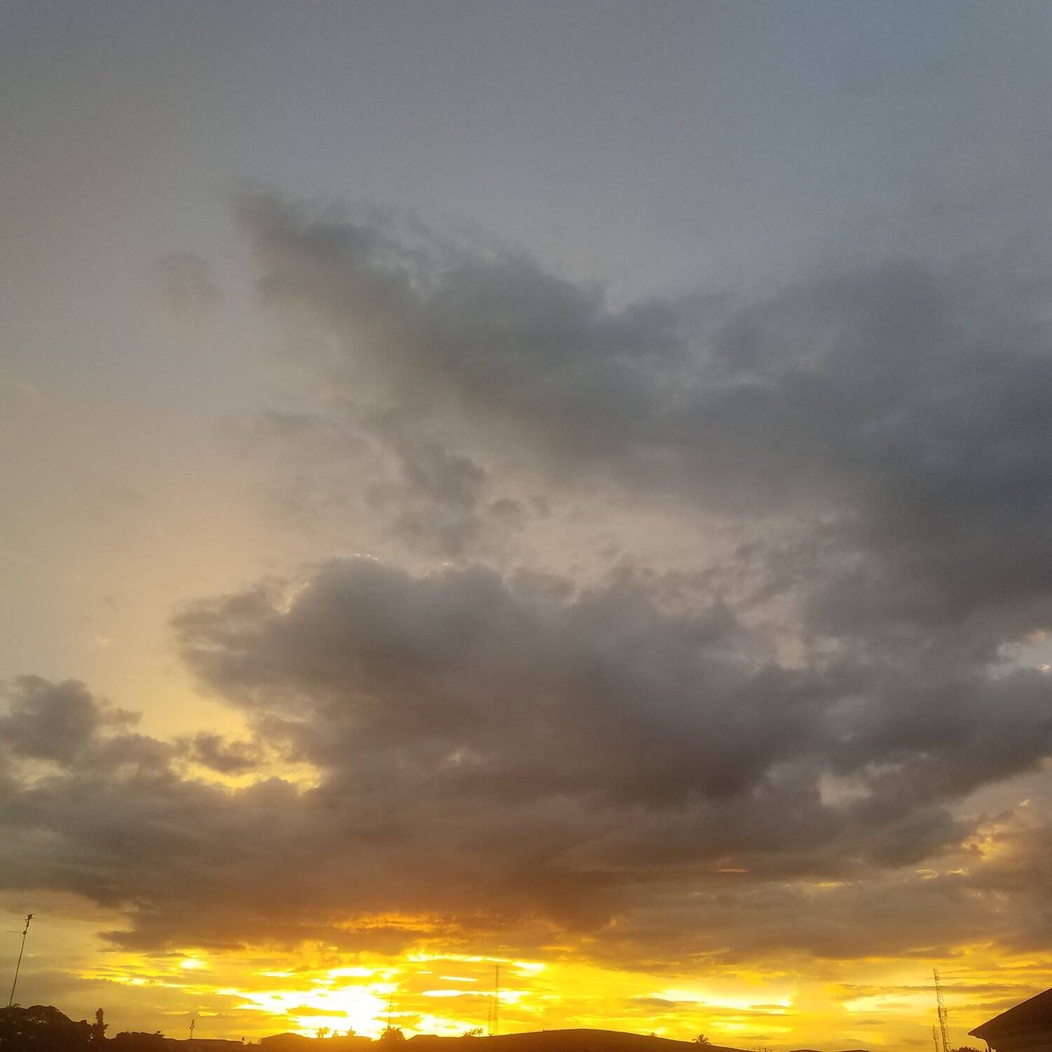 Photo #4088143