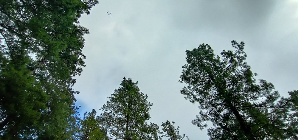 Photo #4088166