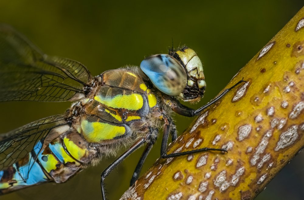 Photograph by Jucan Liviu