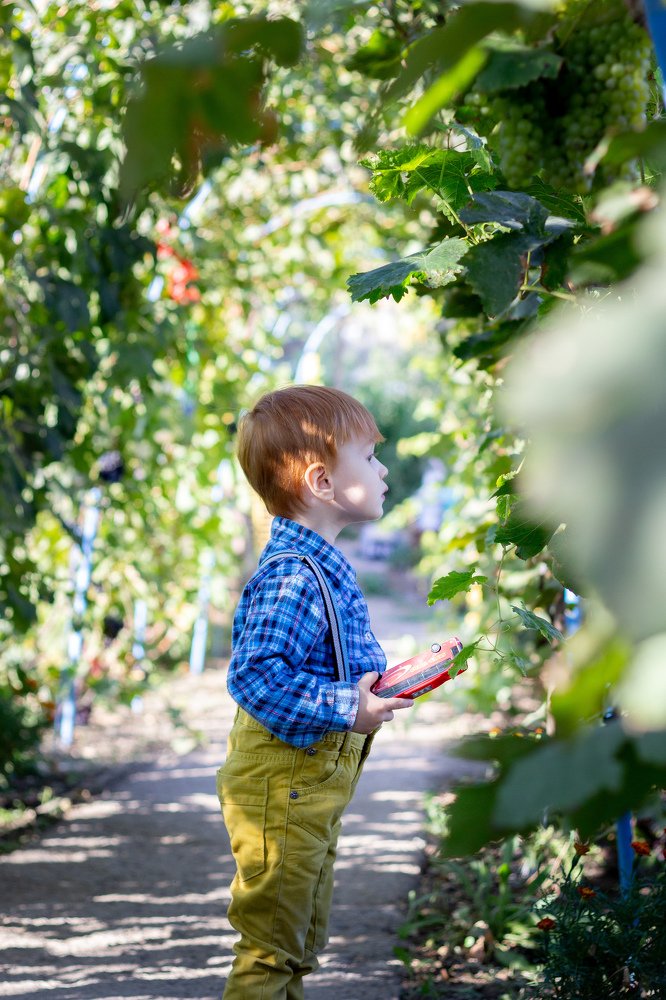 Photograph by Иван Балаболкин
