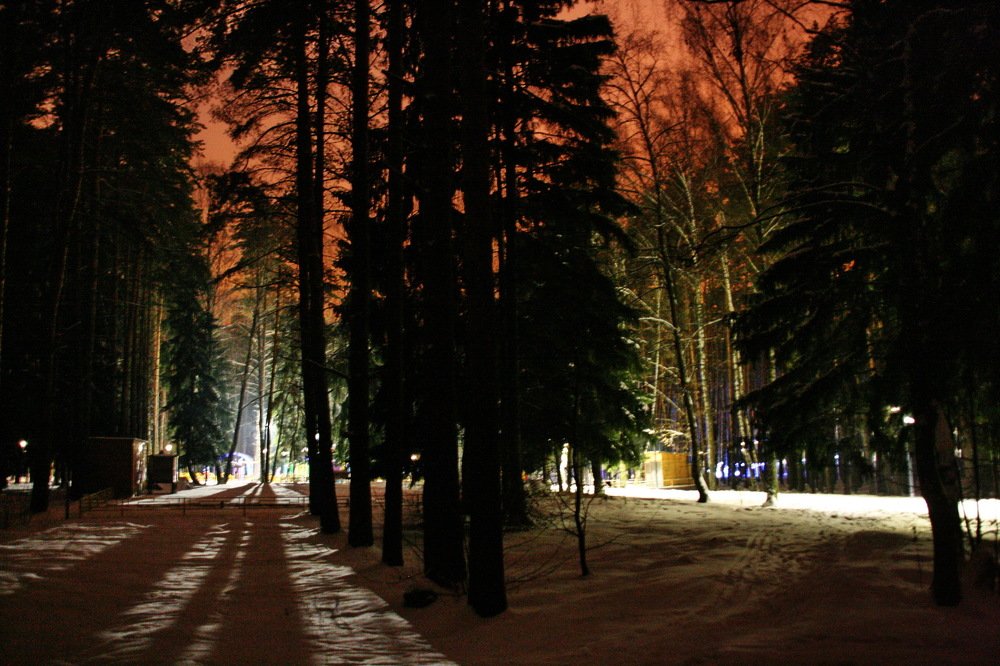 Photograph by Вадим Беляев