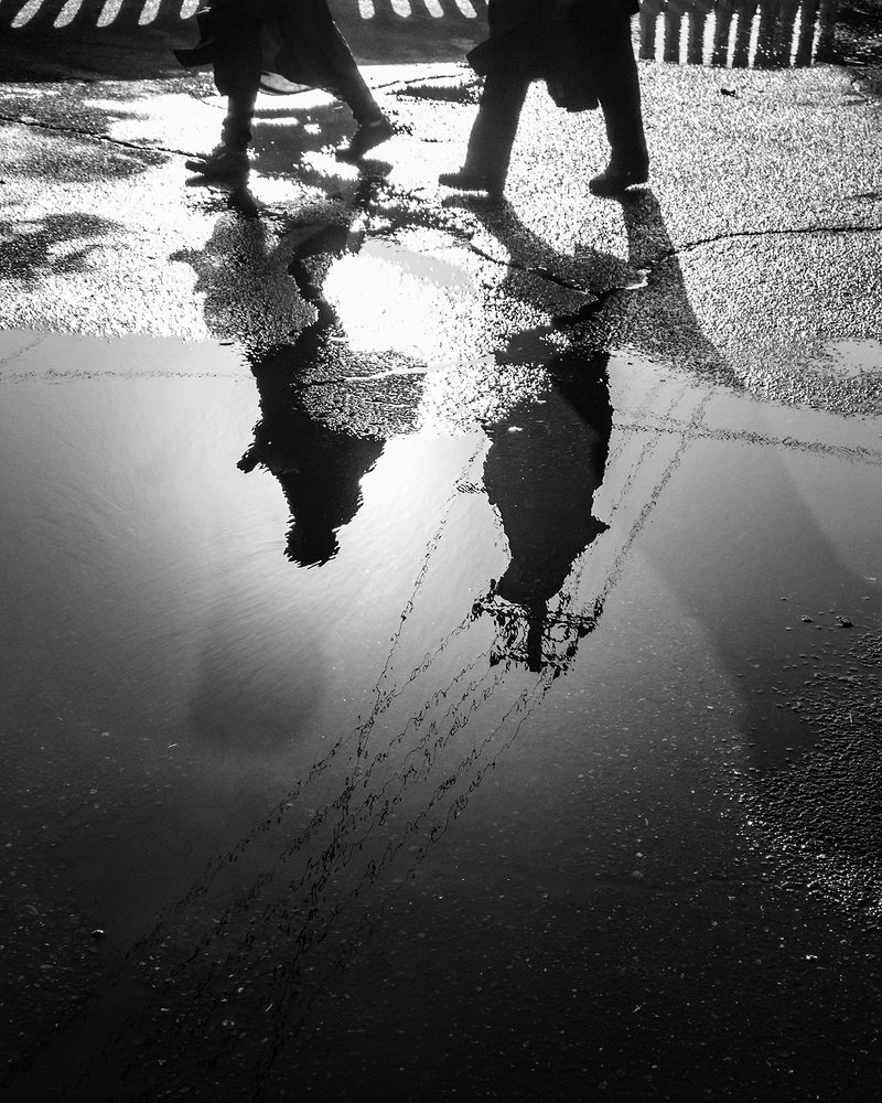 Photograph by Hamid Rastin