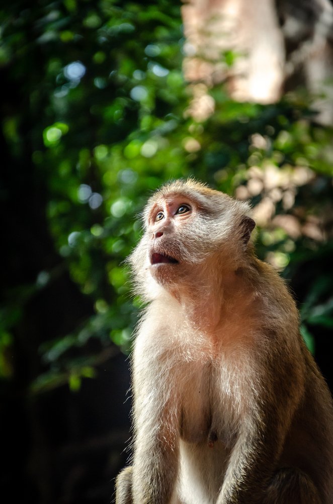 День зарплаты.