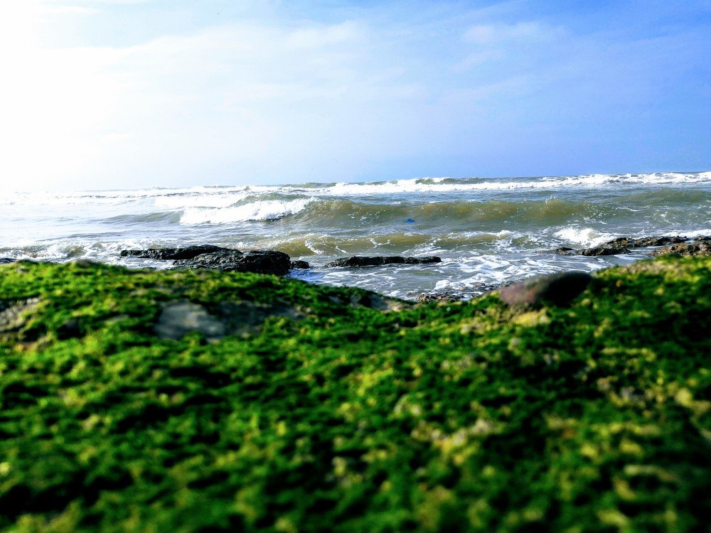 Photograph by Muzammil