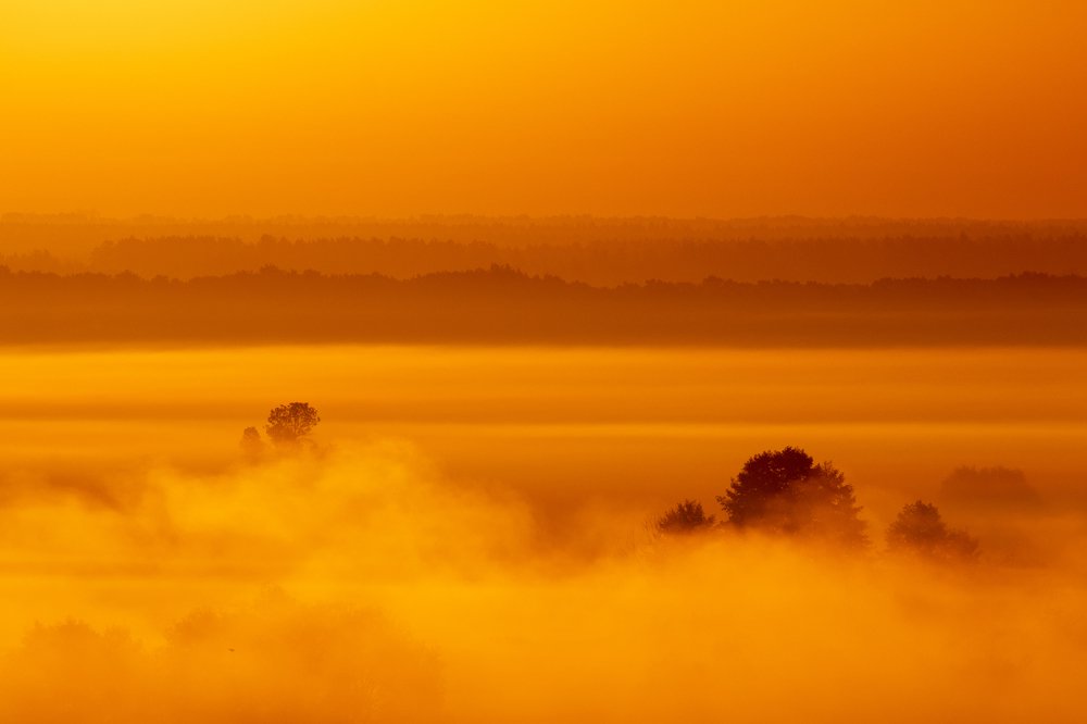 Photograph by Барабанов Алексей