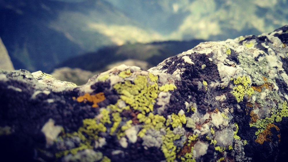 Photo #4088433