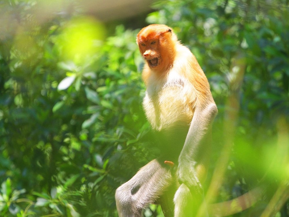 Photograph by Wasiun Alim Ahmad