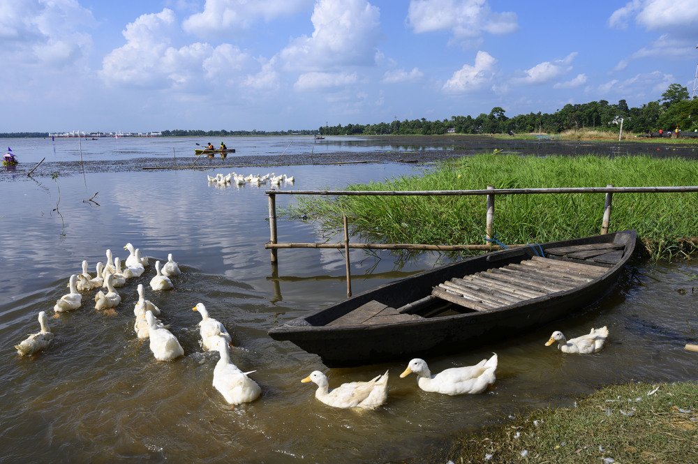Photograph by PRASENJIT ROY