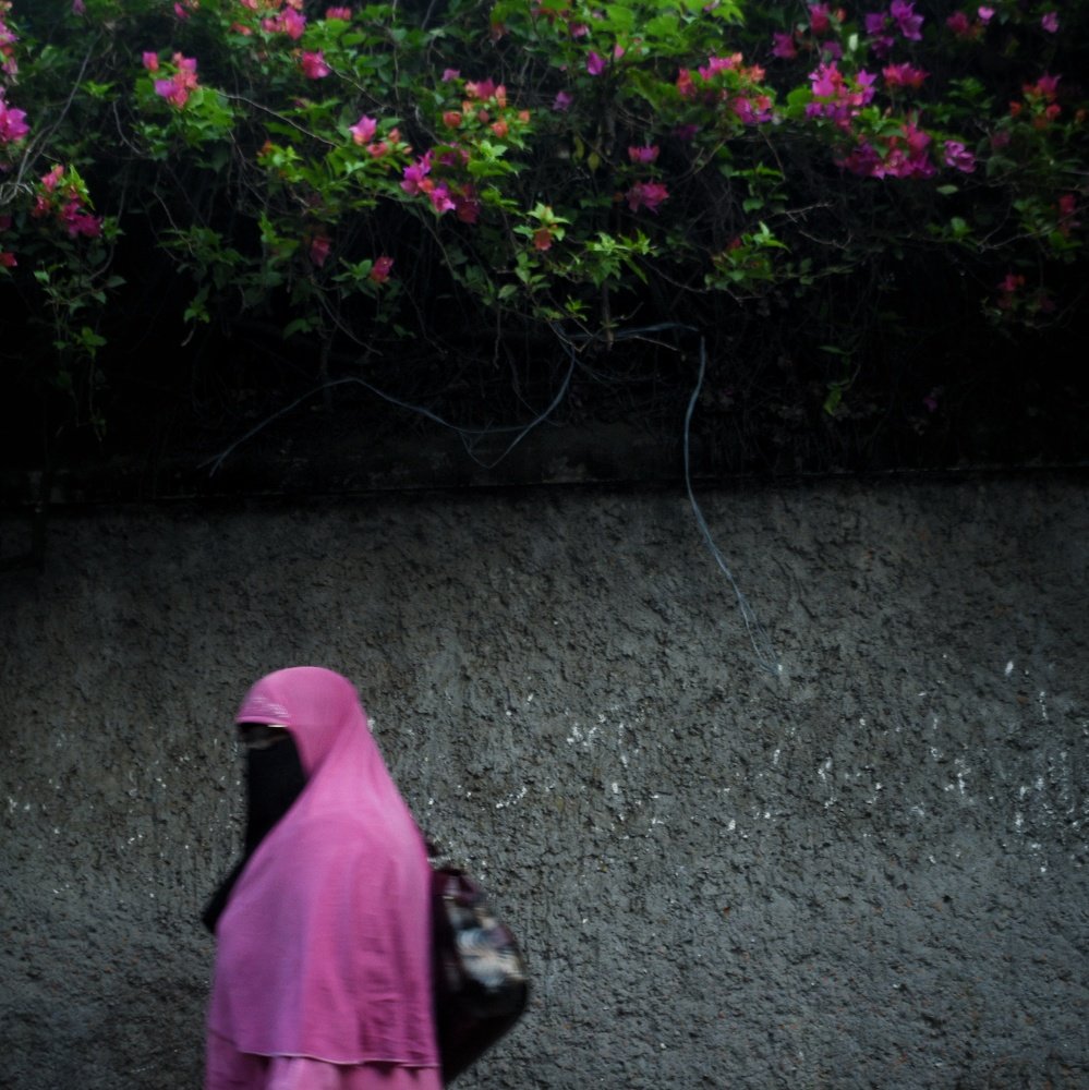 Photograph by Md. Taohidul Islam