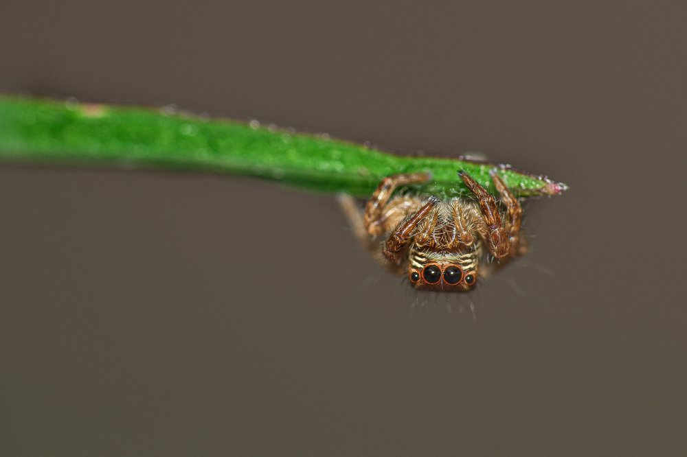 Photograph by MALLIKARJUN Manjari