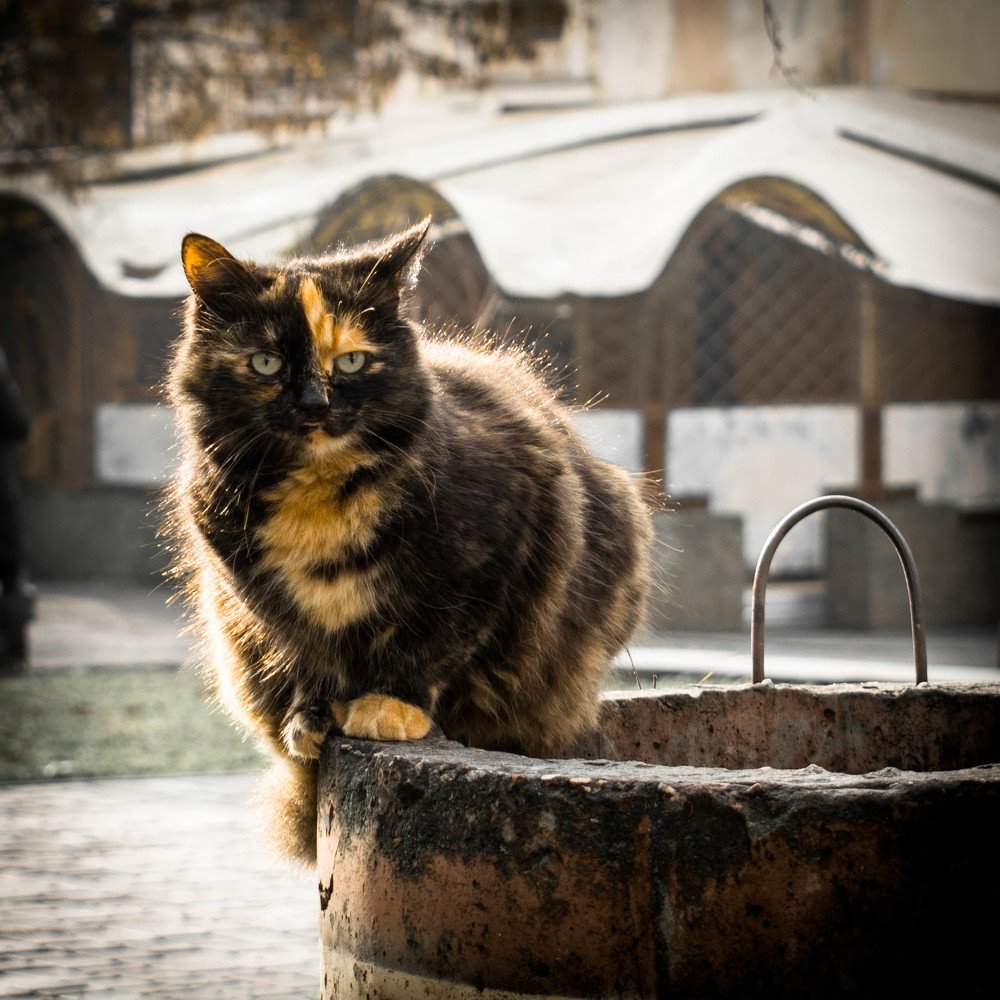 Photograph by Сергей Мясницкий