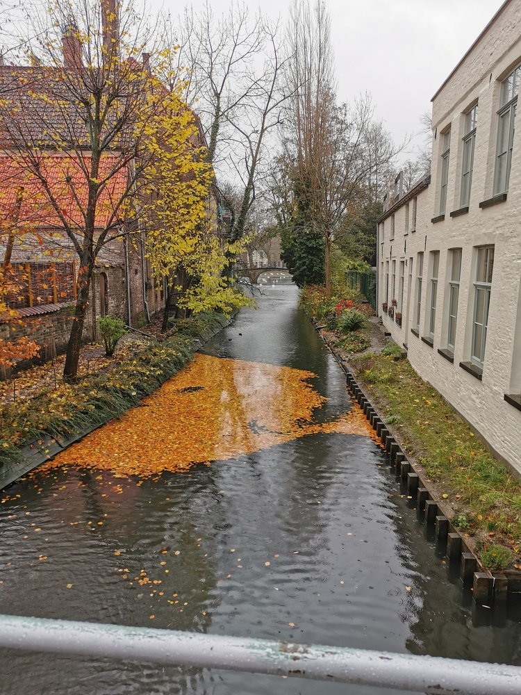 Photo #4088656