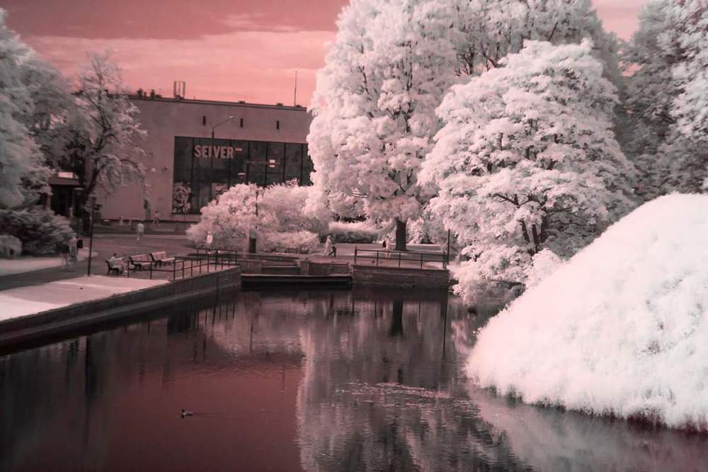 Photograph by Алексей Стрижаков