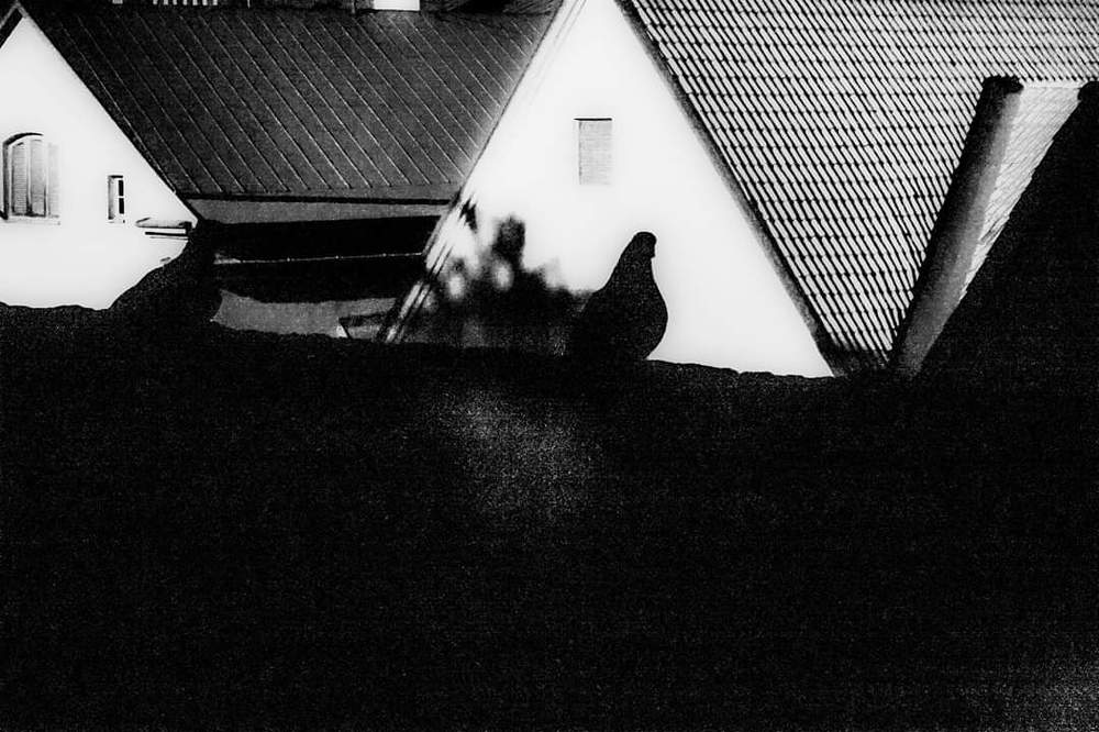 Photograph by Алексей Стрижаков