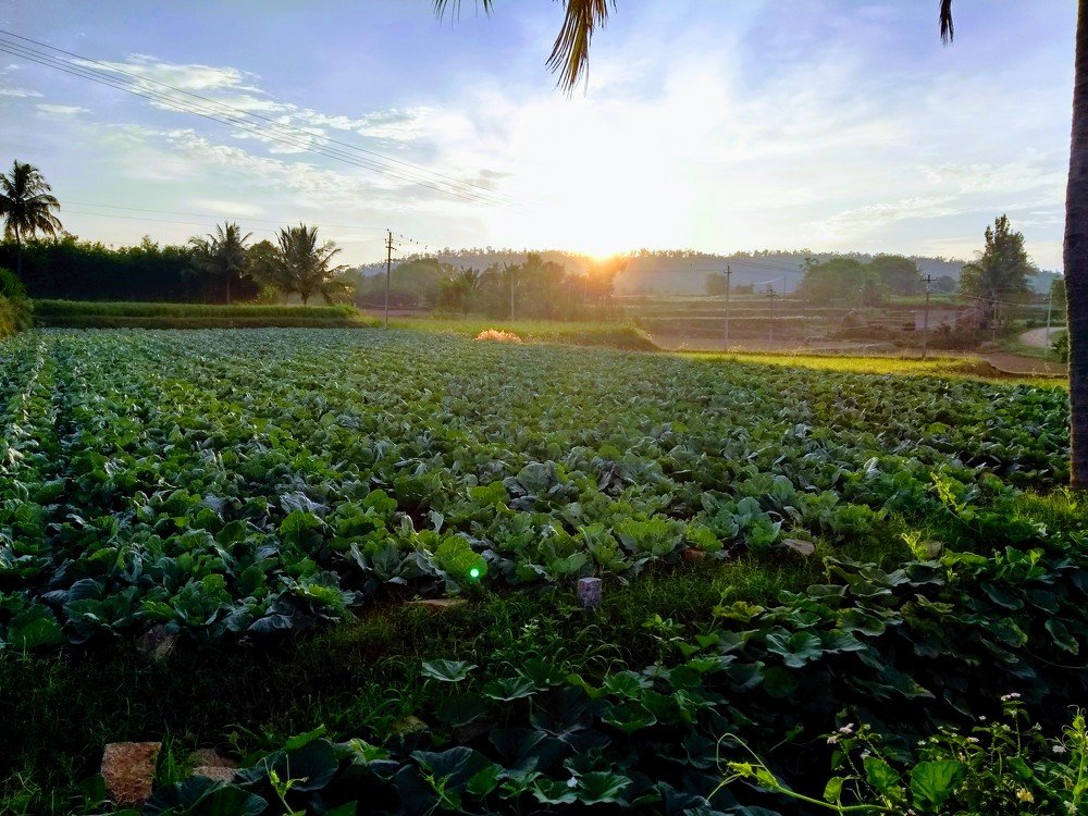 Photograph by Kiran Kumar V