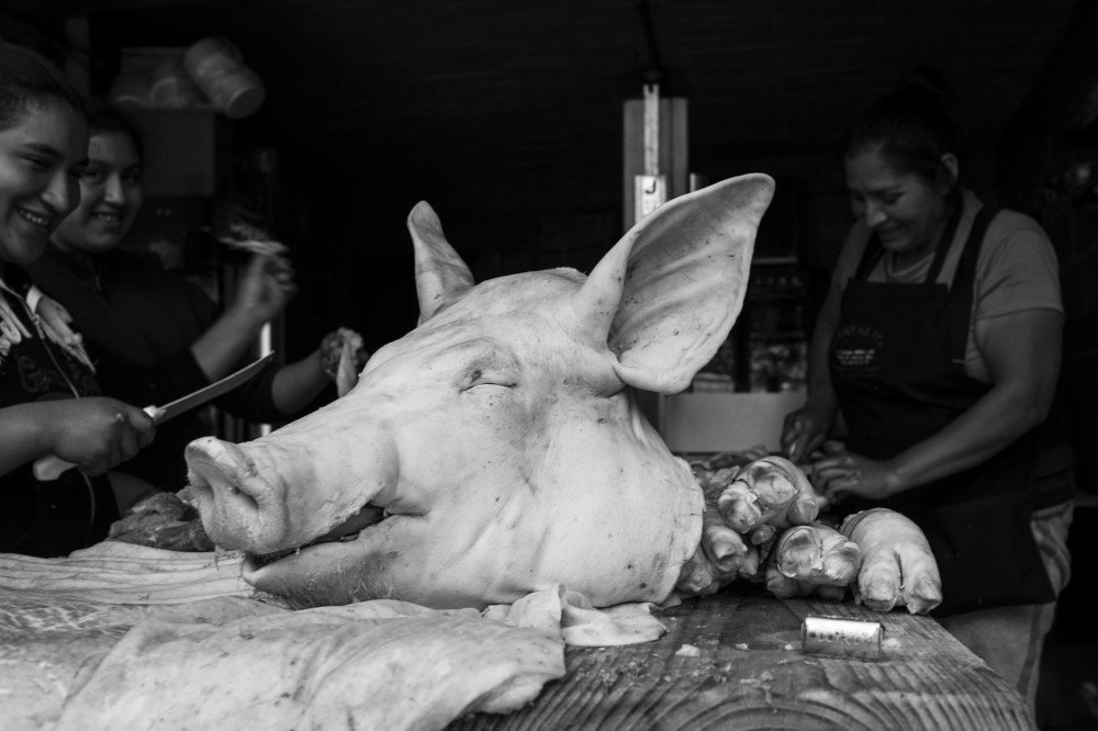 Photograph by Beatriz Acevedo