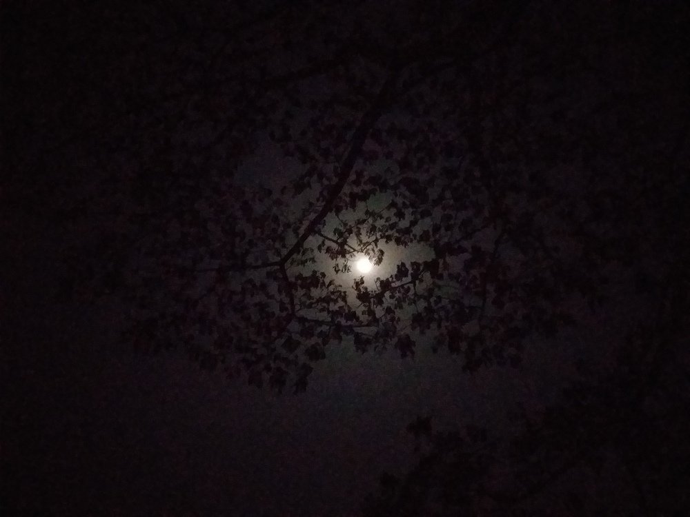 Photo #4089008
