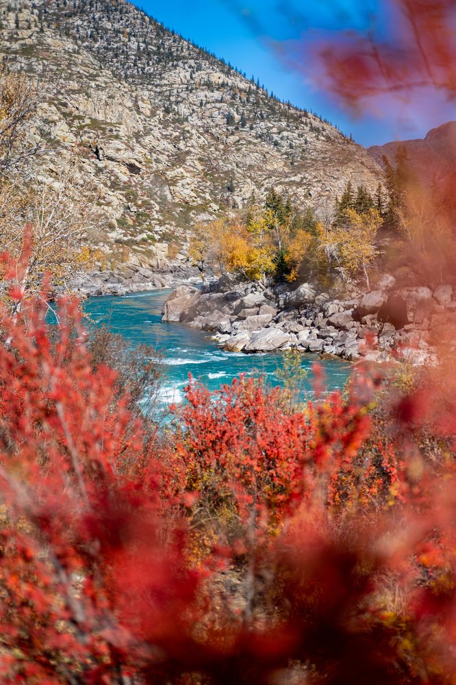 Photograph by Екатерина Климова