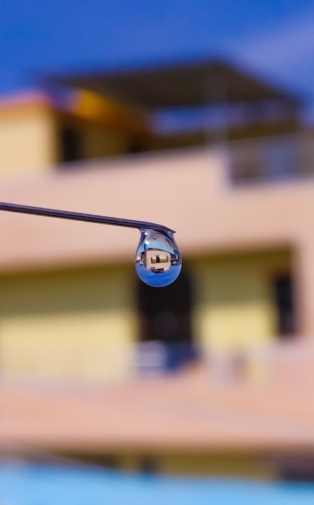Natural lens ball