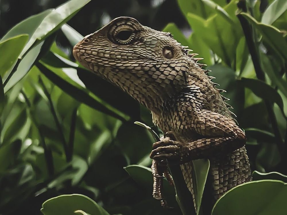 Photograph by Kanishk