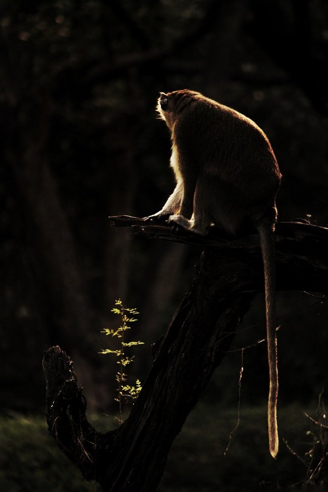 Photograph by Sai kumar Bheemanaboina