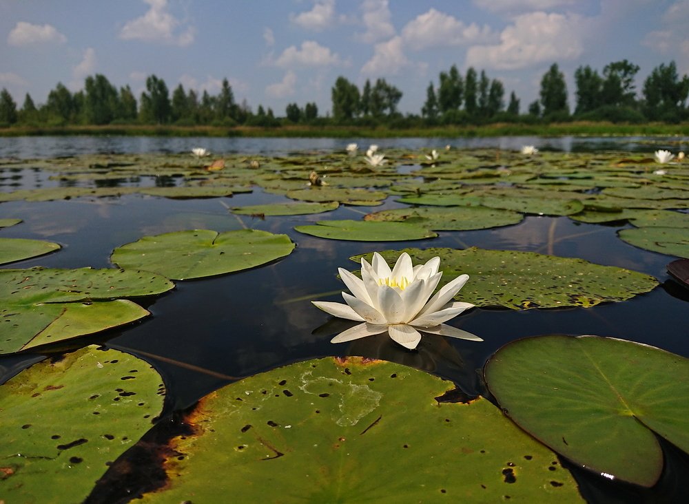 Photograph by Сергей Шляга