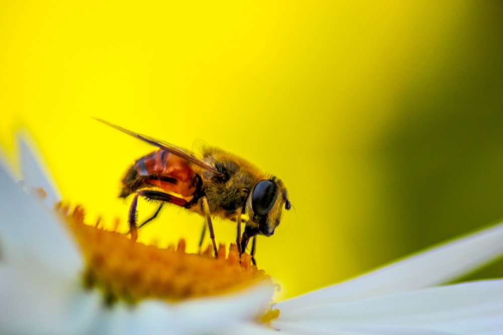 Photograph by Владислав Сапрыкин