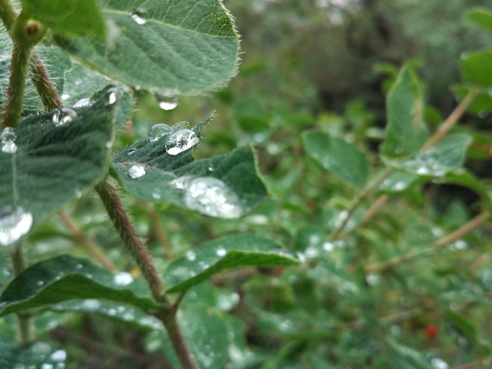 Photograph by Владислав Сапрыкин