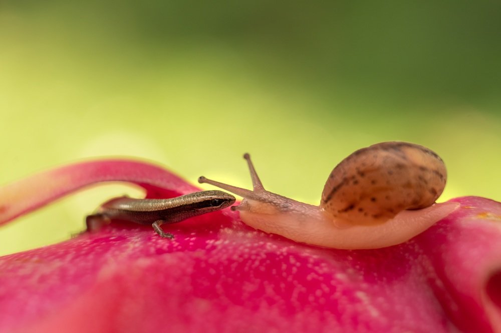 Photograph by Виктория Кузнецова