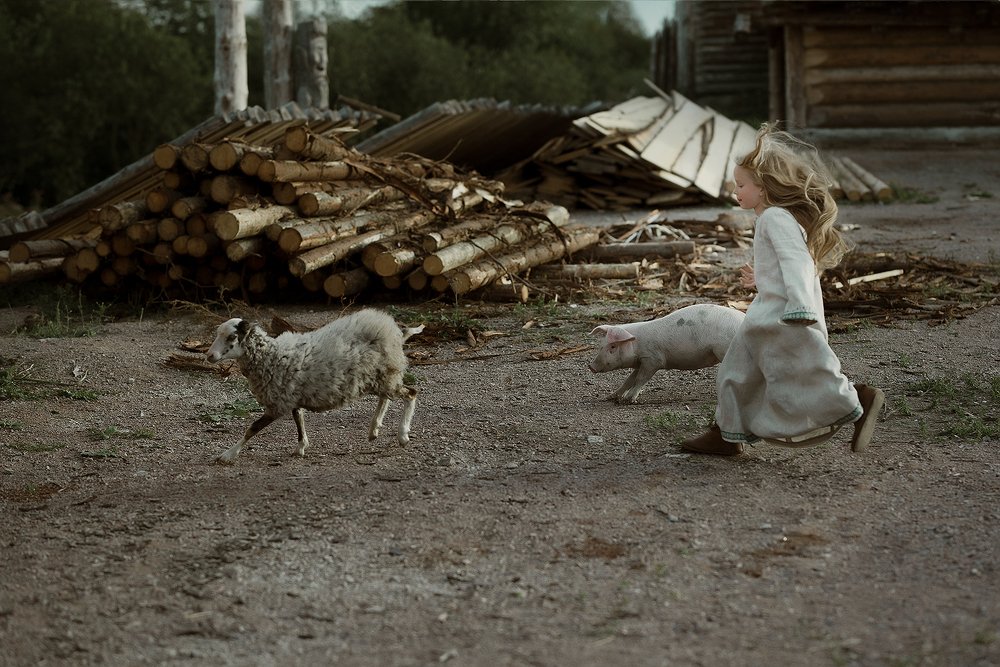 Фотография автора Anna Alimpieva