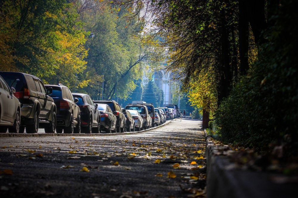 Photograph by Максим Грищенко