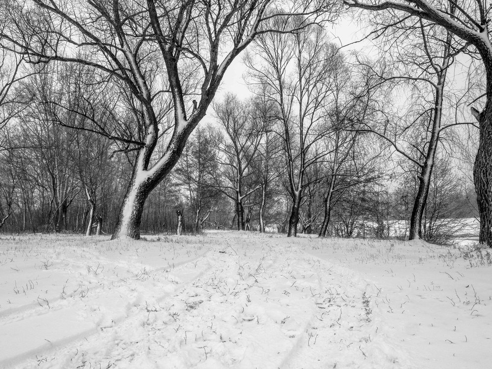 Photograph by mikhail goryachev