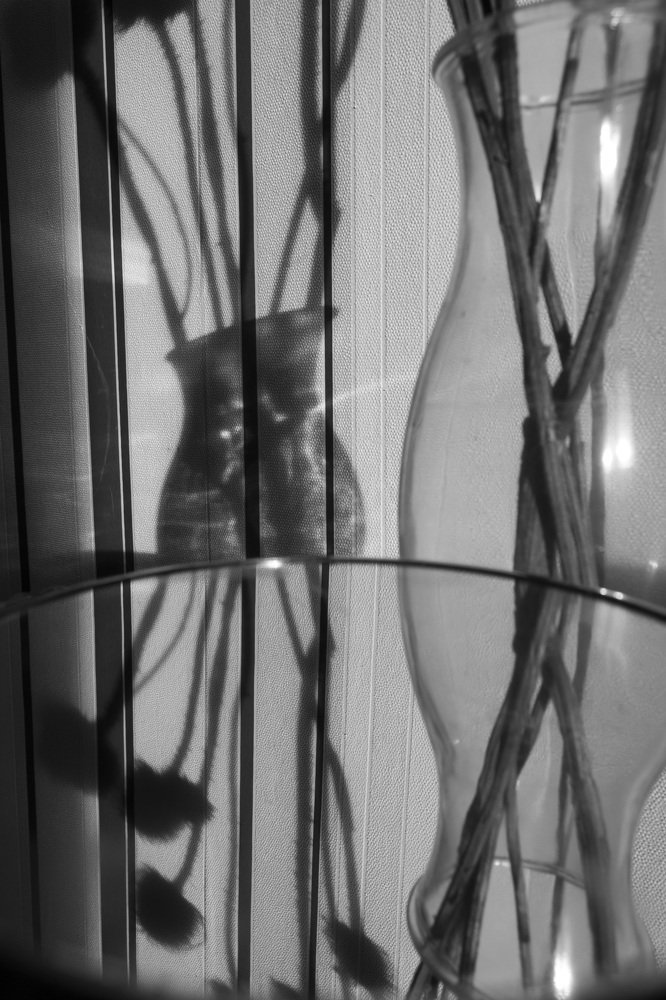 Photograph by Екатерина Измайлова