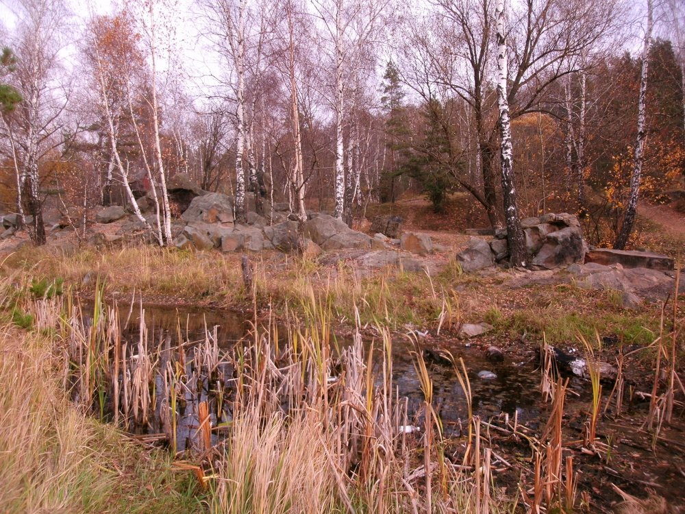 Photograph by Ирина Смычникова