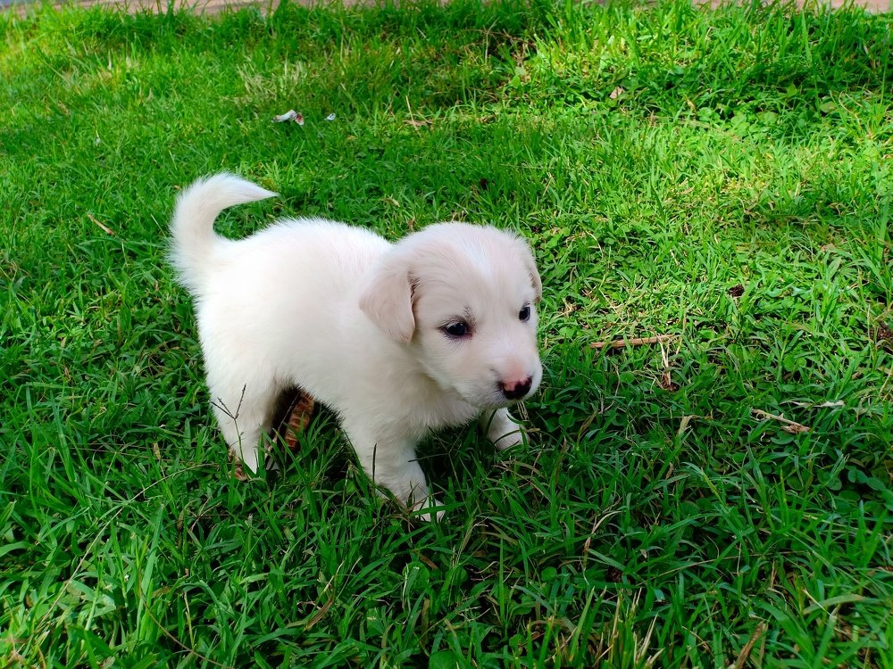 Photo #4089829
