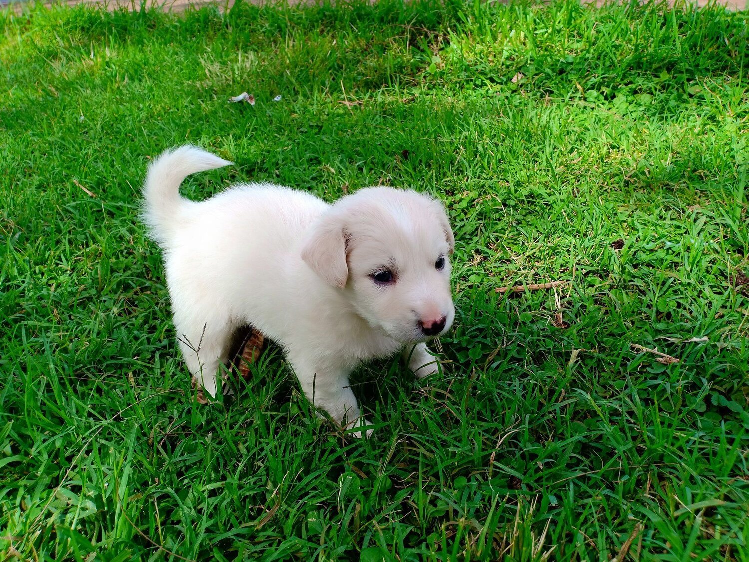 Photo #4089829