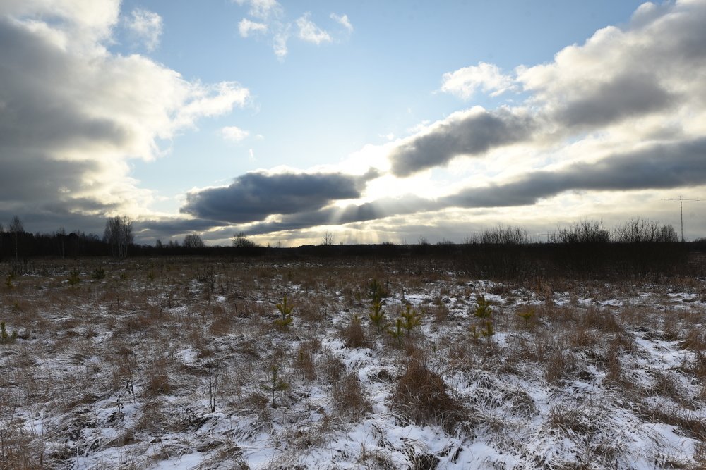 Photograph by Семен Батов