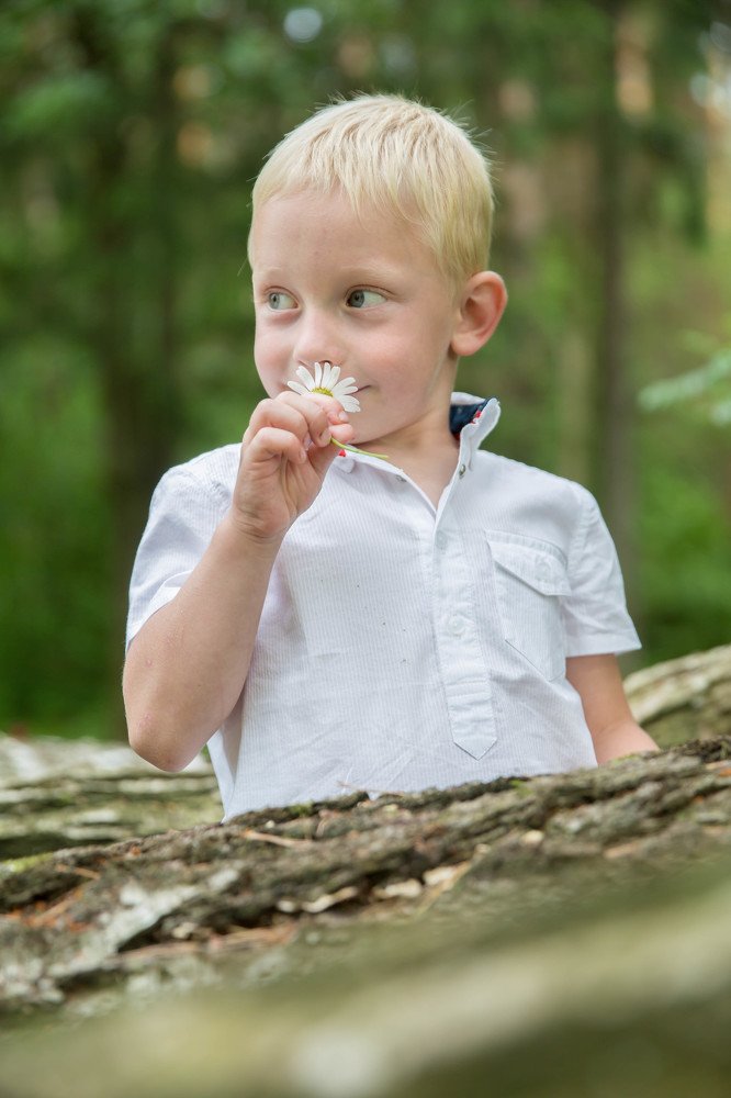 Photograph by Елена Фомина