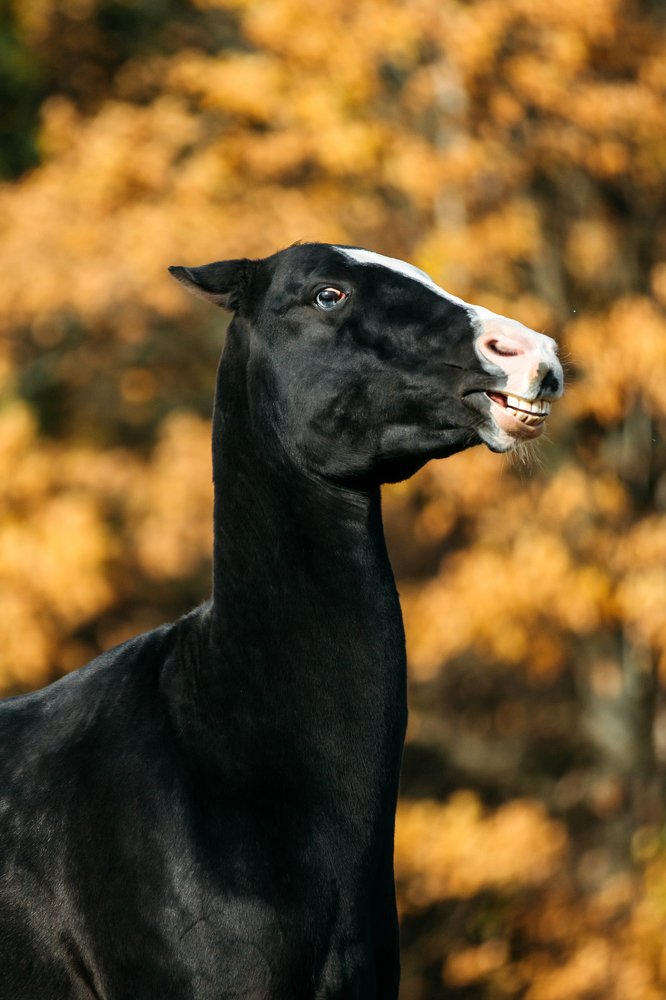 Photograph by Альбина Сагитова