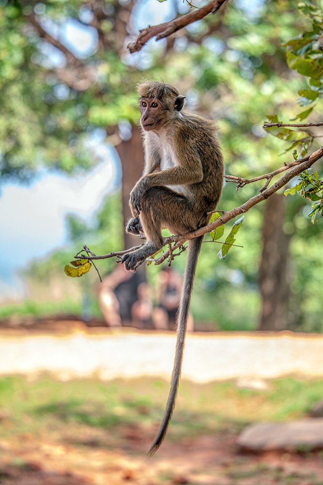 Photograph by Сергей Милицкий