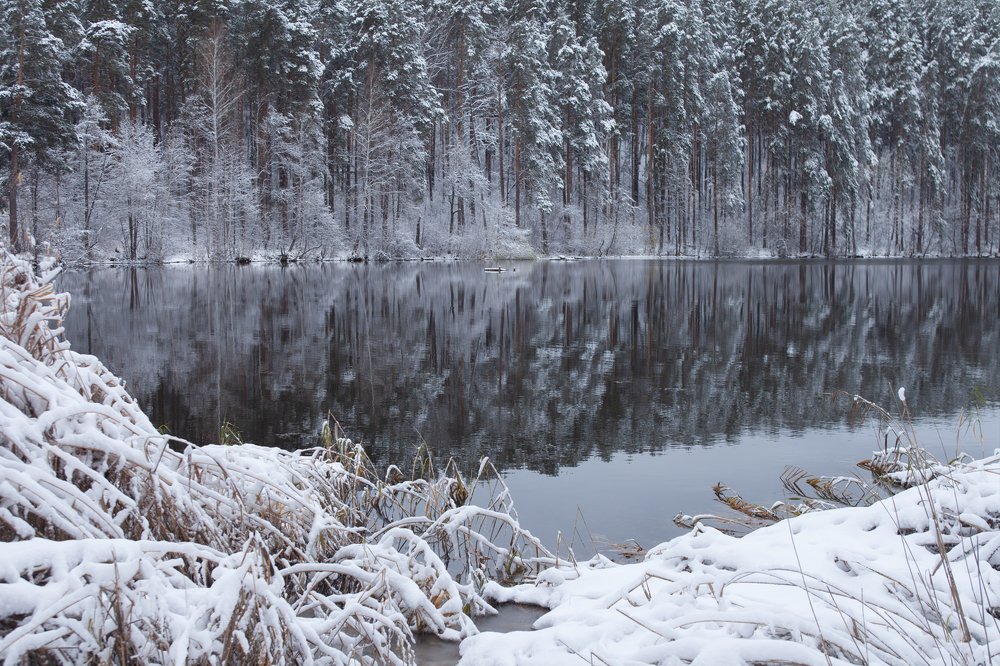 Первый снег