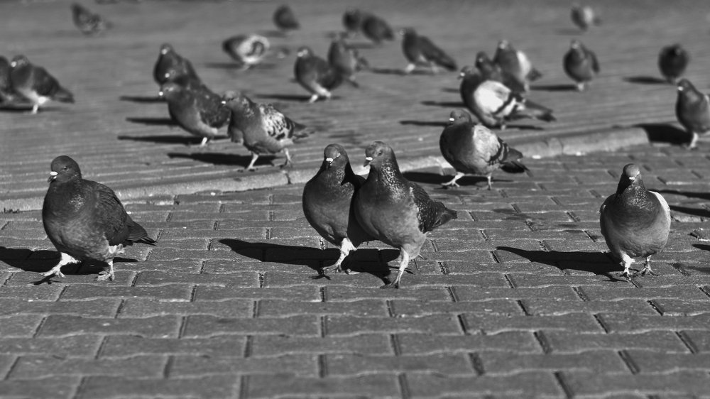 Photograph by Ирина Михайлапова